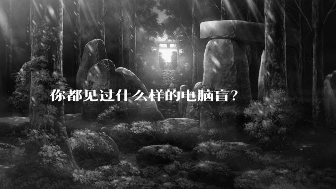 你都见过什么样的电脑盲？