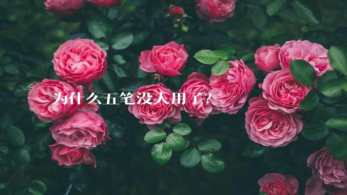 为什么五笔没人用了？